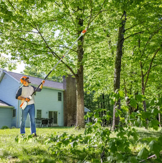 STIHL HTA 86 Battery Pole Pruner 36V Telescoping Pole Saw 10-Inch Bar