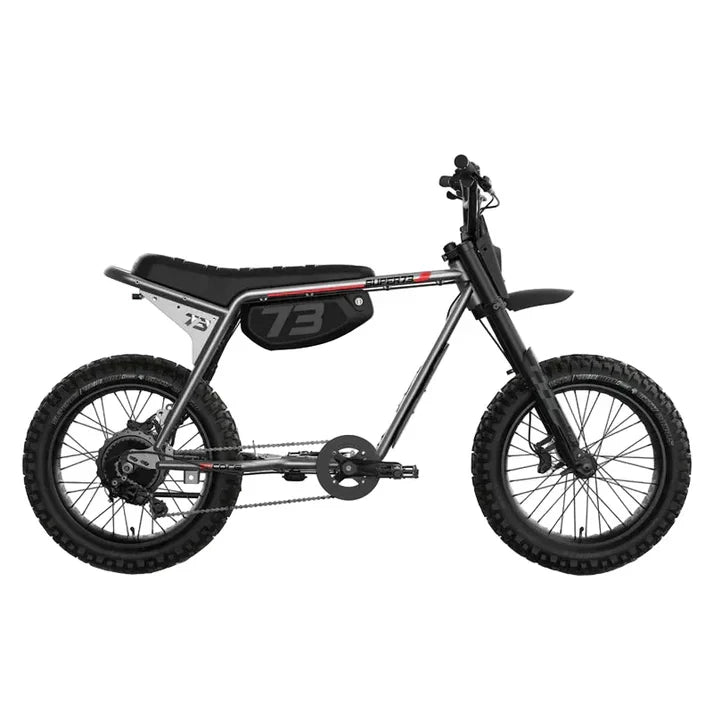 SUPER73 Z Adventure Series Core Electric Bike 600W Motor 480Wh Battery Fat Tire E-Bike