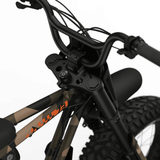 SUPER73 Z Adventure Series LE Electric Bike 600W Motor 720Wh Battery Fat Tire E-Bike Limited Edition
